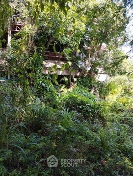 ขายที่ดิน 46.9 ตร.ม. สุเทพ เมืองเชียงใหม่ เชียงใหม่ (ID 3066239)