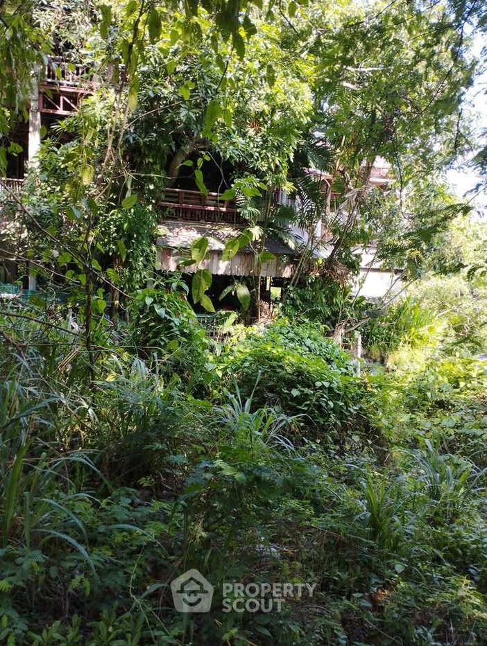 รูป ขายที่ดิน 46.9 ตร.ม. สุเทพ เมืองเชียงใหม่ เชียงใหม่ (ID 3066239) - รูปที่ 1/6