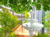 listing thumbnail image 18