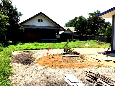 บ้านเดี่ยว เชียงราย : บ้านเดี่ยว 181 ตร.วา แม่จัน เชียงราย 1.8M