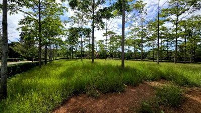 ขายที่ดิน : ขาย ที่ดิน เขาใหญ่ Toscana Valley นครราชสีมา 1 ไร่ เห็นเขาใหญ่ในมุมที่สวยที่สุด เเปลงมุม