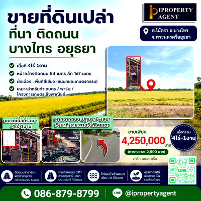 Land for sale Bang Sai Phra Nakhon Sri Ayutthaya : Land for sale, Rice Field, Road frontage, Bang Sai, Ayutthaya.