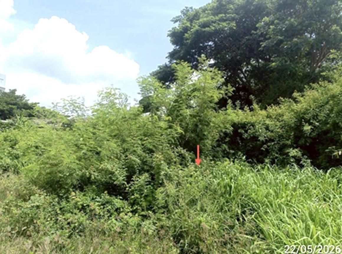 รูป ที่ดินว่างเปล่า 247 ตร.วา เมืองมหาสารคาม มหาสารคาม 2.5M - รูปที่ 11/19