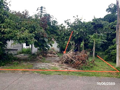 LAND 247 Sq.w. Mae Tha Lamphun for 741,000