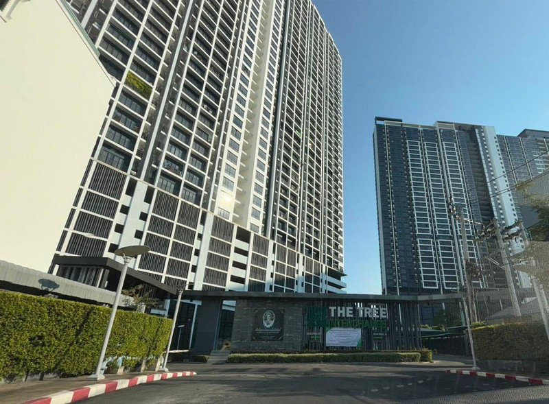 รูป A046637 The Tree Interchange - รูปที่ 2/2