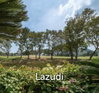 listing thumbnail image 27
