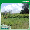 listing thumbnail image 16