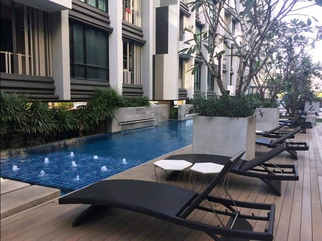 picture C6808 For Rent : Condo Esta Bliss Ramintra ( MRT Setthabut Bamphen ) 064 665 4666 - 25/25