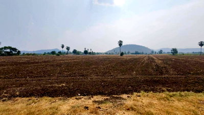 Land for sale : Urgent Sale! Beautiful Land – 17 Rai 173 sq.w. | Prime Highway Frontage | U Thong, Suphan Buri | Price Negotiable