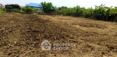 Land for sale Chiang Mai : Land For Sale 1,899 Sqm Yu Wa San Pa Tong, Chiang Mai (ID 3057935)
