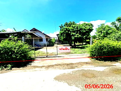 บ้านเดี่ยว สันป่าตอง เชียงใหม่ : บ้านเดี่ยว 220 ตร.วา สันป่าตอง เชียงใหม่ 1.3M