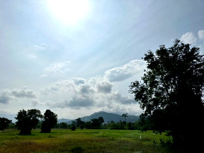 ที่ดิน นครนายก : ขายที่ดินวิวภูเขาสวย บรรยากาศดี บ้านนา นครนายก 2 ไร่ 1 งาน ถมแล้ว พร้อมสร้างบ้าน
