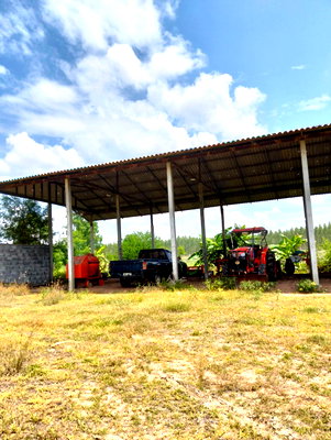 Land for sale : 🌿 Land for Sale – 51 Rai  📍 Lao Khwan Subdistrict, Lao Khwan District, Kanchanaburi