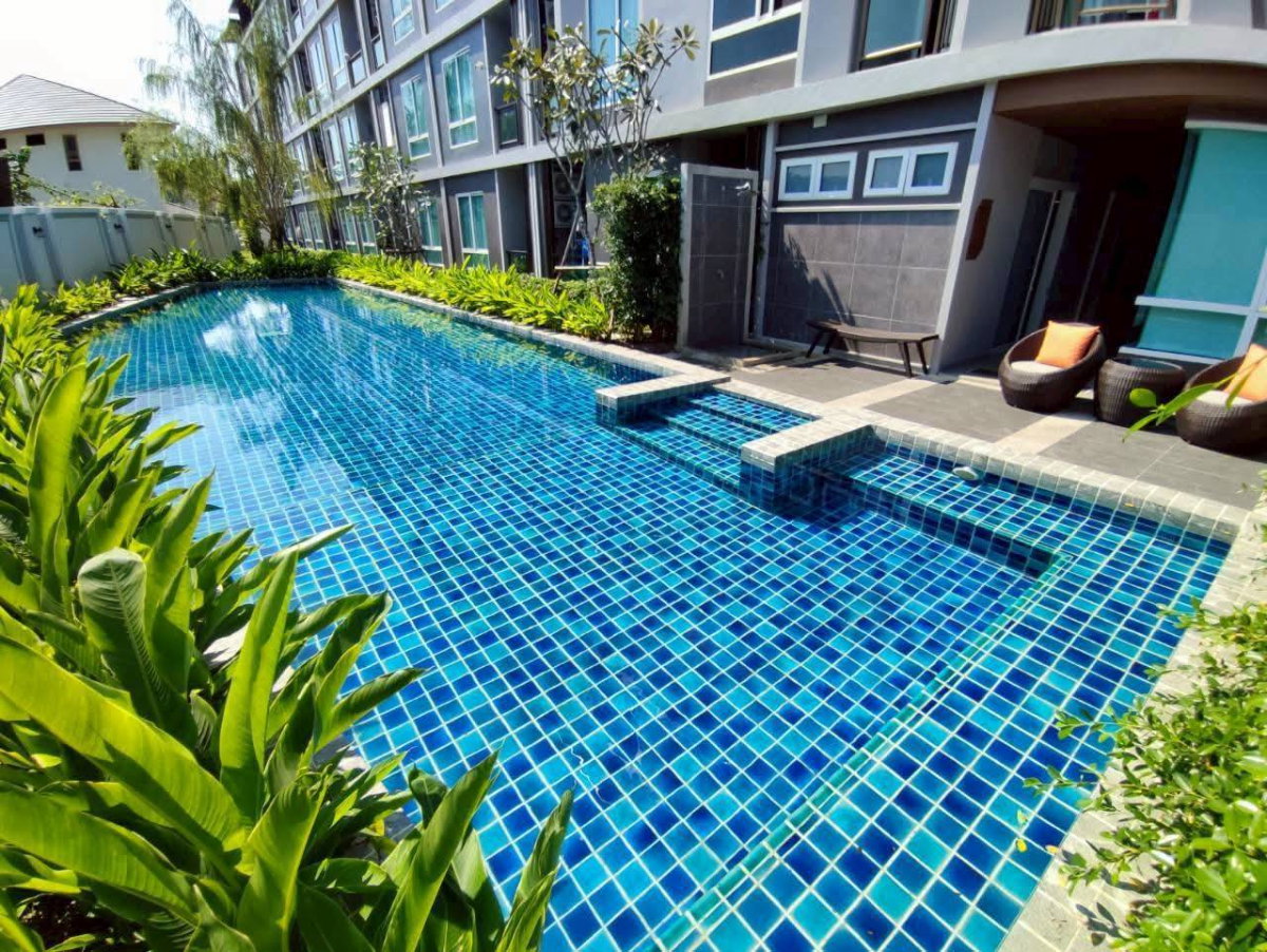 รูป ให้เช่าวันพลัสสวนดอกไลฟ์ ตึกใหม่ โครงการใหม่  คอนโดให้เช่าซอยตรงข้ามคณะทันตะ,เภสัช,แพทย์ (โซนสวนดอก) - รูปที่ 11/17
