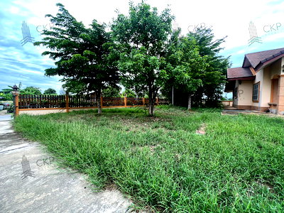ที่ดิน สวนรุกขชาติกำแพงแสน : ขาย ที่ดินพร้อมสิ่งปลูกสร้าง อ.เมือง นครปฐม เดินทางสะดวก ทางด่วนM81 เหมาะทำคาเฟ่ บ้านพักตากอากาศ | 93390
