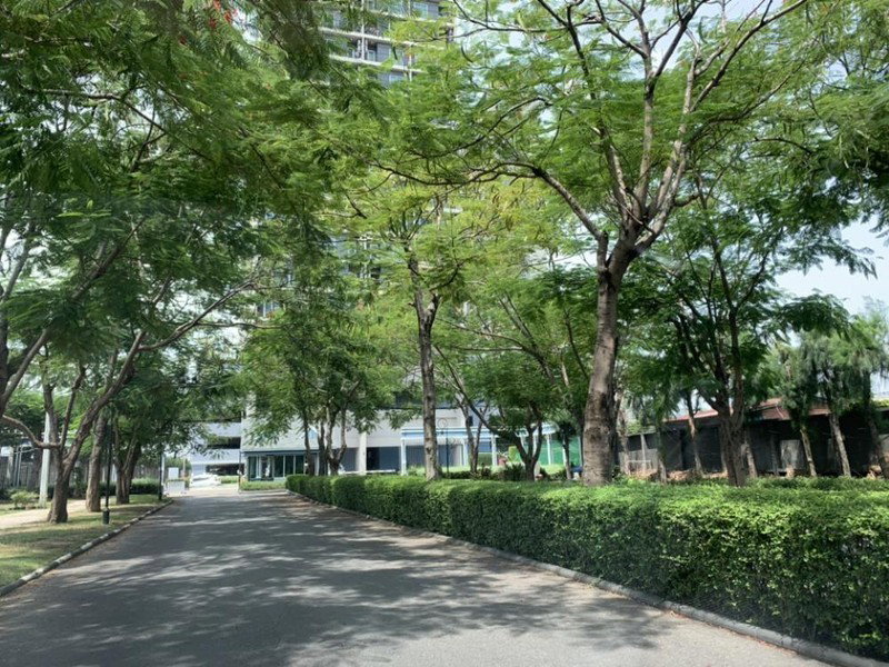 รูป A046754 Chapter One Modern Dutch - รูปที่ 2/8