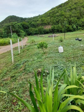 📢 ประกาศขายที่ดินเขาหมอน สัตหีบ ทำเลสวย วิวดี เจ้าของขายเอง