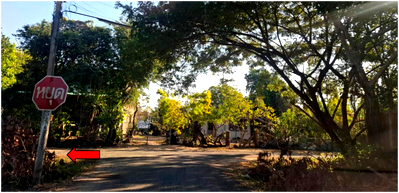 ขายที่ดิน : ที่ดินพร้อมสิ่งปลูกสร้าง 151 ตร.วา อำเภอสว่างวีระวงศ์ จังหวัดอุบลราชธานี 1.2M