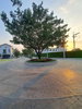 listing thumbnail image 7