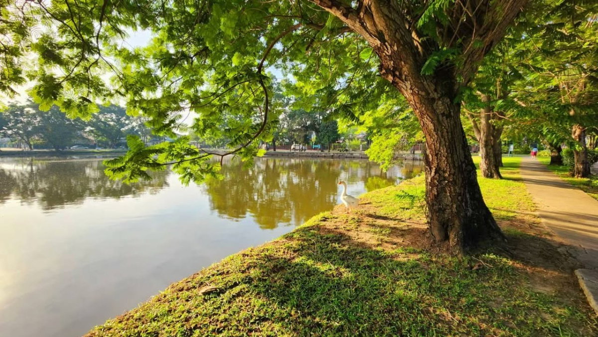 รูป บ้านเดี่ยวชัยพฤกษ์ บางบัวทอง เจ้าของขายเอง ราคาคุยกันได้ - รูปที่ 14/14