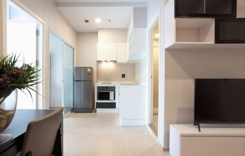🏙️✨ FOR RENT: The Tree Sukhumvit 71 – Ekkamai — SPACIOUS MODERN LIVING IN A PRIME LOCATION! 💰 Rental Price: 16,000 THB/month