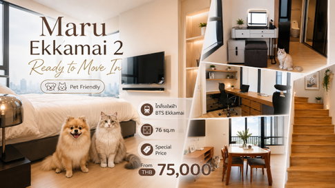 🐶🐱 คอนโดหรูใจกลางเอกมัย! เลี้ยงสัตว์ได้ | MARU Ekkamai 2 ห้องสวย พร้อมเข้าอยู่ | Line: @rent2022 | A11972