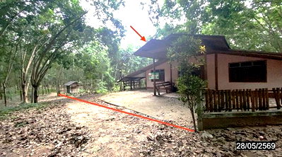 บ้านเดี่ยว วังสะพุง เลย : บ้านเดี่ยว 1058 ตร.วา วังสะพุง เลย 1.5M