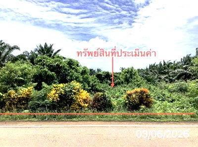 ขายที่ดิน : ที่ดินว่างเปล่า 125 ตร.วา ปะเหลียน ตรัง 963,000