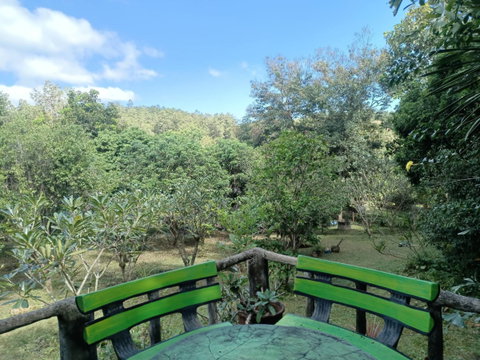 ขายด่วน! บ้านสวนบรรยากาศดี ใกล้ธรรมชาติ น้ำแพร่-หางดง 🌳🏔️ T. 063-6649056