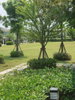 listing thumbnail image 21