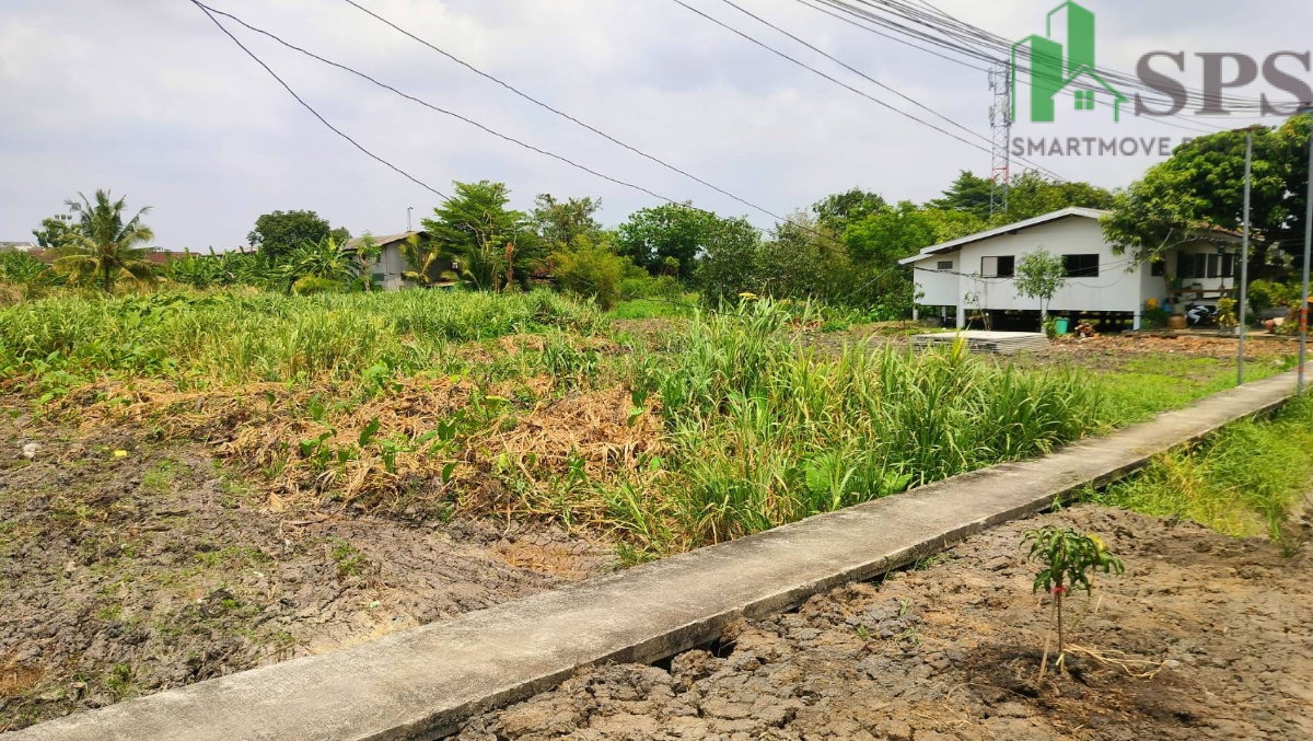 รูป ขายด่วน ที่ดินเปล่าเนื้อที่ 50 ตารางวา ซอยนวมินทร์ 81 (SPSAD4091) - รูปที่ 4/7