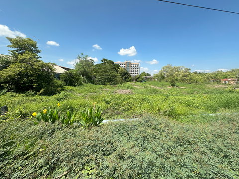 ขายที่ดินติดถนนมิตรไมตรี เขตหนองจอก กทม.