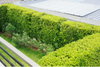listing thumbnail image 69
