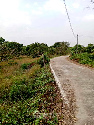 Land for sale Chiang Mai : Land For Sale 46.9 Sqm, Thung Tom San Pa Tong, Chiang Mai (ID 3083397)