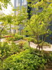 listing thumbnail image 12