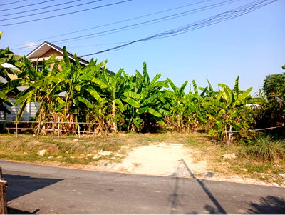 Land for sale Prawet : Land for sale  Soi Phattanakarn96 