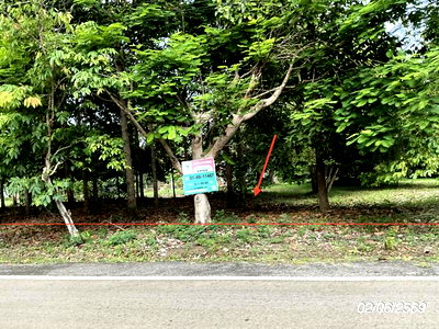 ขายที่ดิน : ที่ดินว่างเปล่า 168.8 ตร.วา กบินทร์บุรี ปราจีนบุรี 902,000