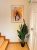 listing thumbnail image 12