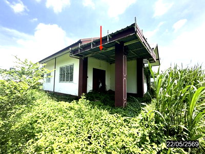บ้านเดี่ยว ลาดยาว นครสวรรค์ : บ้านเดี่ยว 384 ตร.วา ลาดยาว นครสวรรค์ 1.2M