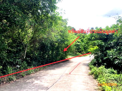 ที่ดินว่างเปล่า 1519 ตร.วา เกาะสมุย สุราษฎร์ธานี 14M