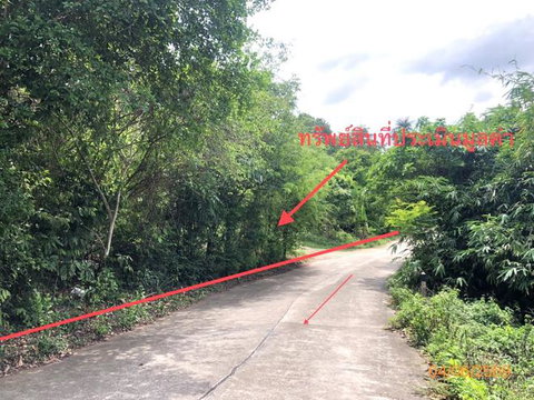 LAND 1519 Sq.w. Ko Samui Surat Thani for 17.5M