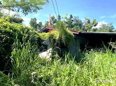 บ้านเดี่ยว เพชรบูรณ์ : บ้านเดี่ยว 965 ตร.วา หล่มสัก เพชรบูรณ์ 1.4M