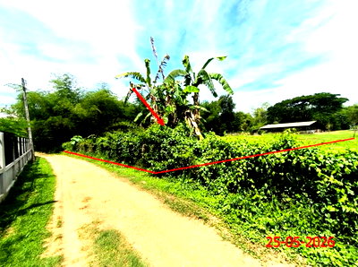 ขายโรงงาน : เพิงอเนกประสงค์ 1211 ตร.วา เกาะคา ลำปาง 2.7M