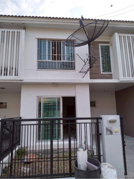 🏡ให้เช่าบ้าน หมู่บ้านพฤกษาวิลล์ 44📍ใกล้ม.มหิดล