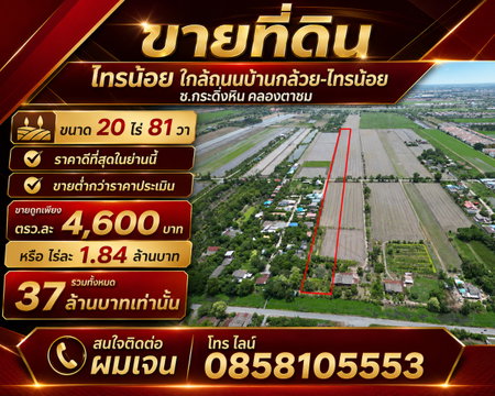 #ขายที่ดิน #ไทรน้อย #บางบัวทอง ขนาด 20 ไร่ 81 วา #ราคาดีสุดๆ #ขายต่ำกว่าราคาประเมิน #ขายถูก