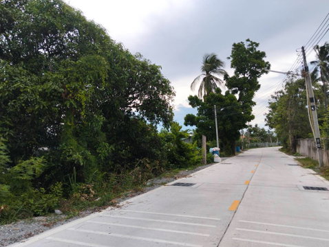 แบ่งขายที่ดิน 108 ตรว.หนองข้างคอก ใกล้มอเตอร์เวย์ 850,000 บาท