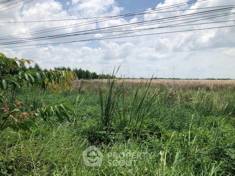 ขายที่ดินแปลงใหญ่ ลำประทิว เขตลาดกระบัง กรุงเทพฯ (ID 3083547)