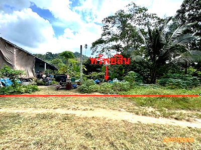 ที่ดินว่างเปล่า 50 ตร.วา เกาะสมุย สุราษฎร์ธานี 750,000