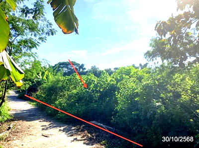 ขายที่ดิน : ที่ดินว่างเปล่า 129 ตร.วา แม่ลาว เชียงราย 516,000