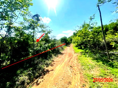 ขายที่ดิน : ที่ดินว่างเปล่า 1812 ตร.วา เกาะคา ลำปาง 1.4M